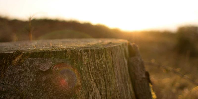 AI重塑无线网络:揭秘AI-native Air资源动态调度算法的核心原理与开发实践