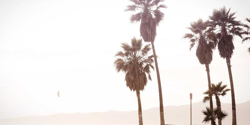 从SmartNIC到DPU：揭秘网络功能硬件卸载如何重塑云平台性能与架构