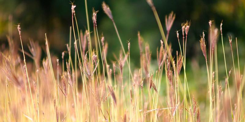 零信任网络架构(ZTNA)实战指南:从核心原则到企业落地路径 | CSKCON资源分享